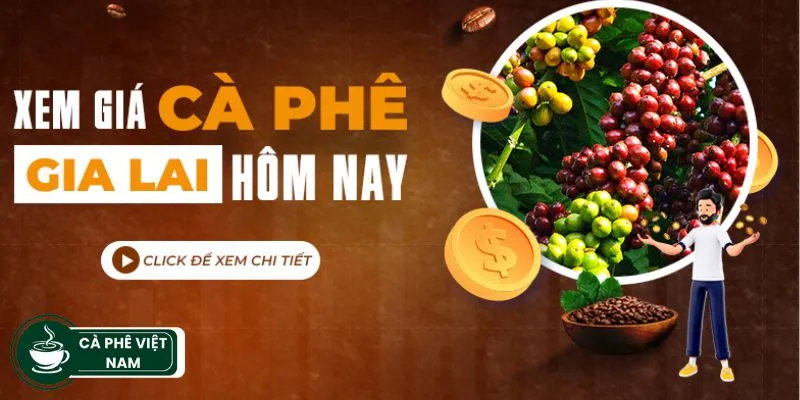 giá cà phê hôm nay tp pleiku gia lai