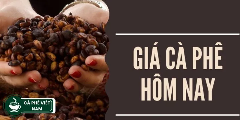 giá cà phê trực tuyến hôm nay 24h